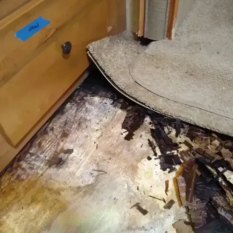 Best Wood Floor Water Damage Service in Clermont County, OH